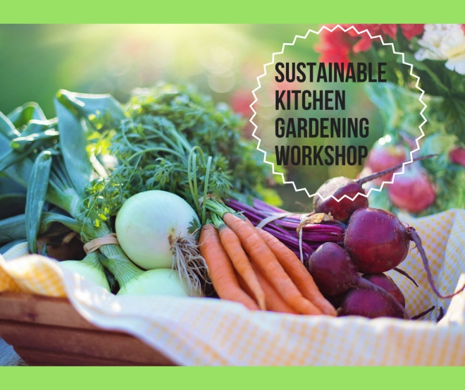 Sustainable kitchen gardening workshop.jpg